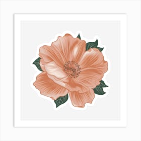 Peach Flower Art Print