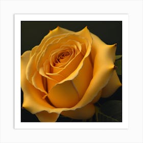 Yellow Rose 2 Art Print