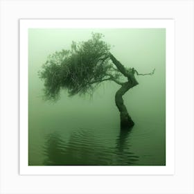 Lone Tree In The Fog Art Print