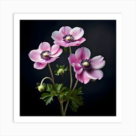 Beautiful Anemone Flower Isolated 664609164(1)(1) Art Print