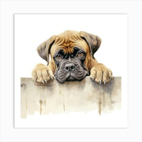 Boxer Dog 9 Art Print