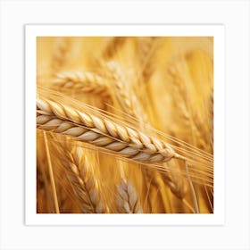 Wheat In The Field Art Print