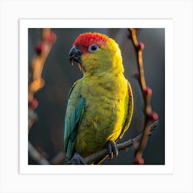 Parrot 7 Art Print