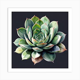 Succulent on black  Art Print