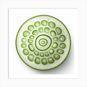 Cucumber Art Print