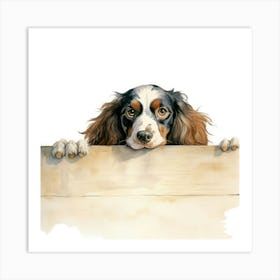 Spaniel Sussex 3 Art Print