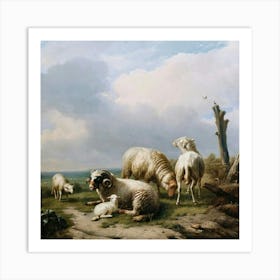 Sheeps 4 Art Print