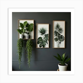 Three Plants On A Wall 1 Art Print