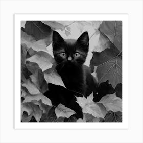 Black and White Black Cat In Leaves Art Print