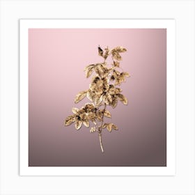Gold Botanical Single May Rose on Rose Quartz n.3037 Art Print