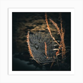 Spider Web Art Print