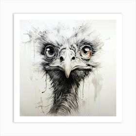 Ostrich Art Print