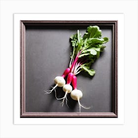 Radishes 22 Art Print