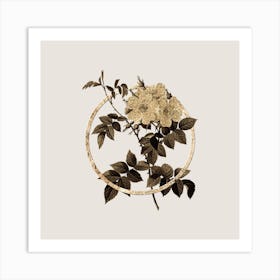 Gold Ring White Rosebush Glitter Botanical Illustration Art Print