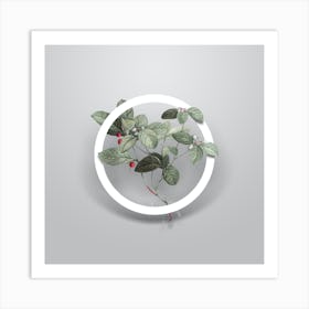 Vintage American Wintergreen Plant Minimalist Flower Geometric Circle on Soft Gray n.0340 Art Print