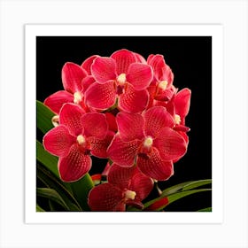 Firefly Vibrant Explosion Of Red Orchids In Full Bloom 99890 Art Print