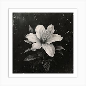 Oneeline42 A Rare Singularity Starflower Bloom In Heartbreak 1 Art Print