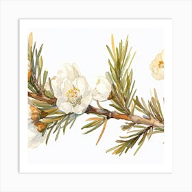 Apricot Blossoms 1 Art Print