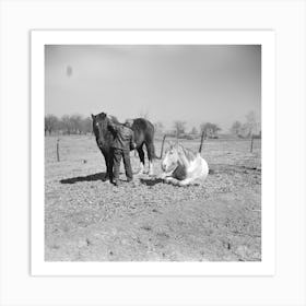 Erasty Emrich, Tenant Farmer Near Battle Ground, Indiana, Carrying One Of His Horses By Russell Lee Art Print