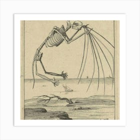 Skeleton Of A Bird Art Print