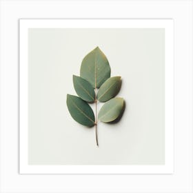 Eucalyptus Leaf 15 Art Print