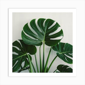 Full Green Plant (2) Art Print