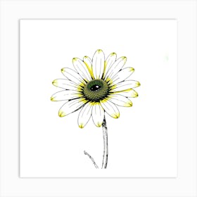 Daisy 7 Art Print