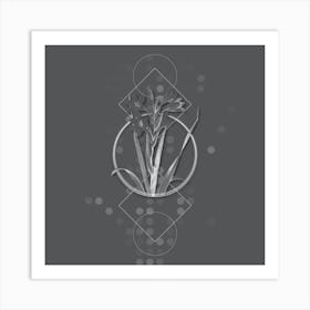Vintage Gladiolus Saccatus Botanical with Line Motif and Dot Pattern in Ghost Gray n.0370 Art Print