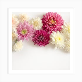 Chrysanthemums Art Print