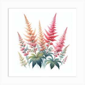 Astilbe 4 Art Print