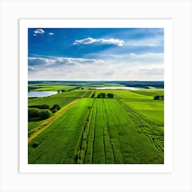 Aerial View Of A Green Field Art Print