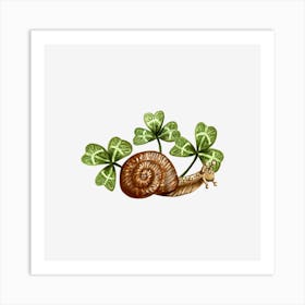 Snail With Clover Leaves Art Print