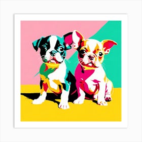 'Boston Terrier Pups' , This Contemporary art brings POP Art and Flat Vector Art Together, Colorful, Home Decor, Kids Room Decor,  Animal Art, Puppy Bank - 19th Art Print