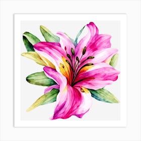 Pink Lily Art Print