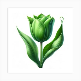 Green Tulip Art Print