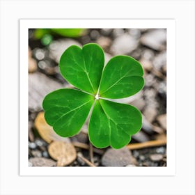 Four Leaf Clover 1 Art Print