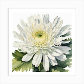 White Chrysanthemum Art Print