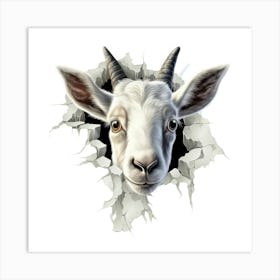 Goat Head Peeking Through A Hole Art Print