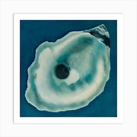 Oyster Shell 3 Art Print