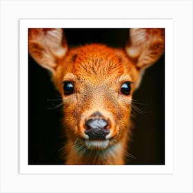 Close Up Of A Deer Art Print