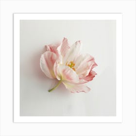 Pink Tulip Art Print