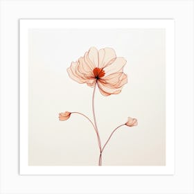 Poppy Stock Videos & Royalty-Free Footage Art Print