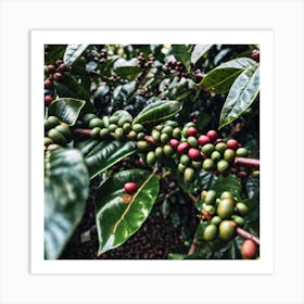 Coffee Beans On A Tree 31 Art Print