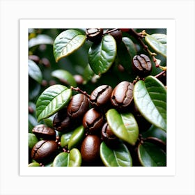 Coffee Beans On A Tree 54 Art Print