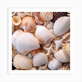 Sea Shells 4 Art Print