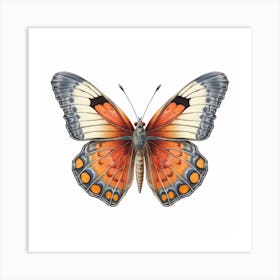 Butterfly 37 Art Print