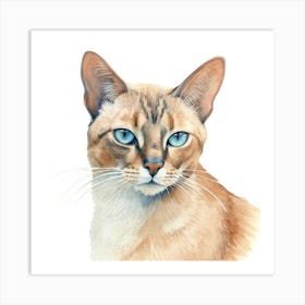 Thai Cat Portrait 1 Art Print