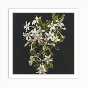 Azaleas Art Print