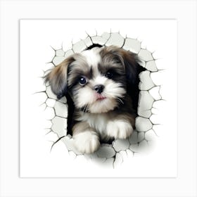 Shih Tzu 4 Art Print