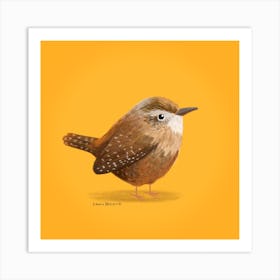 Wren Bird Art Print